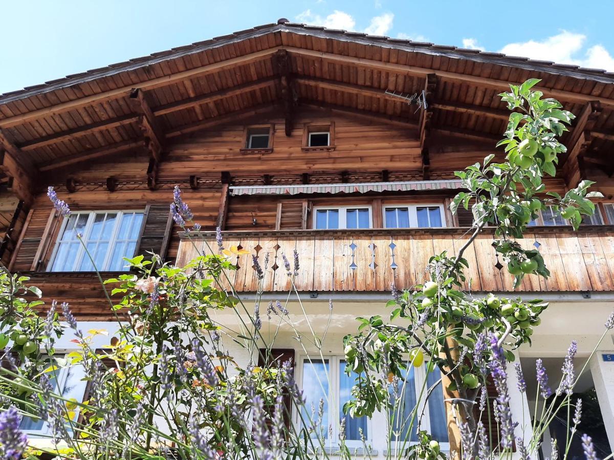 Cozy Chalet By Interlaken. Parking Ringgenberg Εξωτερικό φωτογραφία